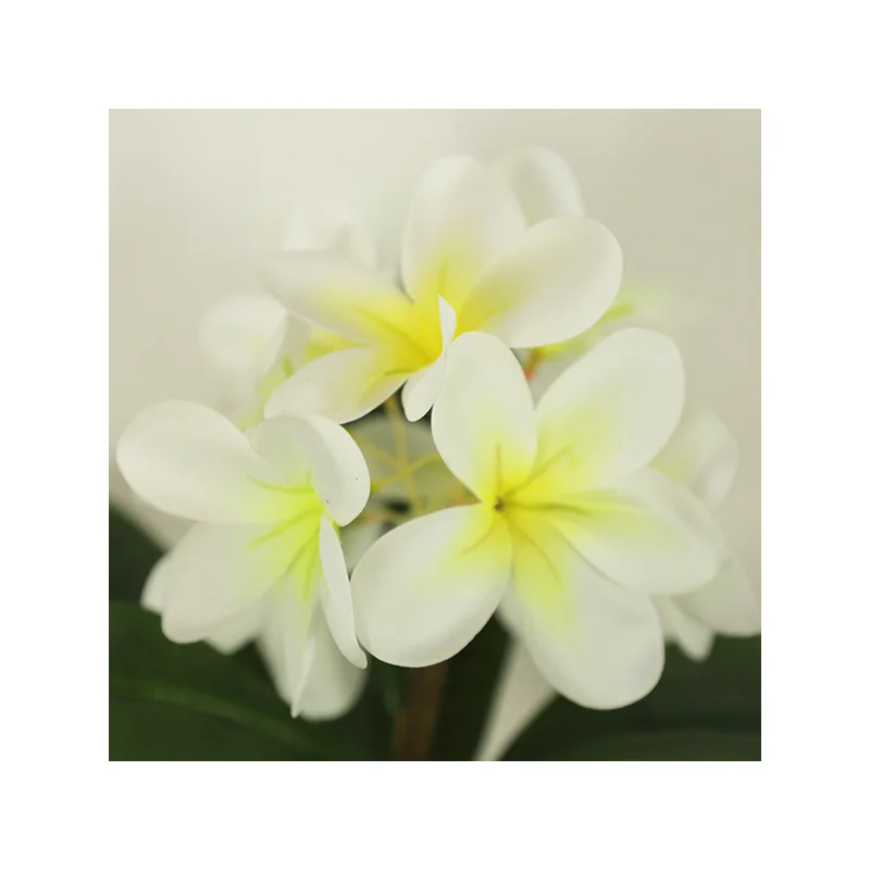 2024 Longstar Wholesale 17/26 Inch Artificial Plants Plumeria