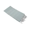 light turquoise