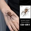 CD-051-Araña de jardín naranja en la red