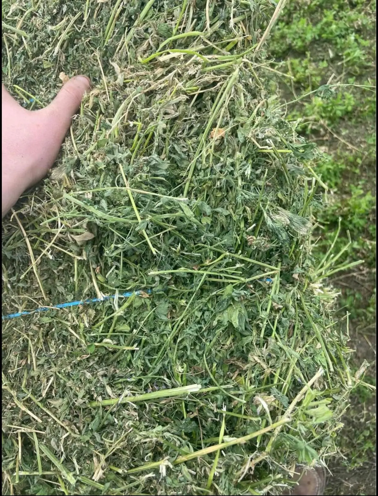 For product pricing, customization, or other inquiries Contact