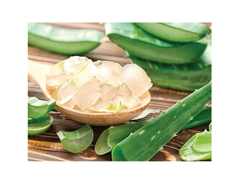 collonil leather lotion aloe vera Collonil Organic & Vegan Leather Care Cream main image 0