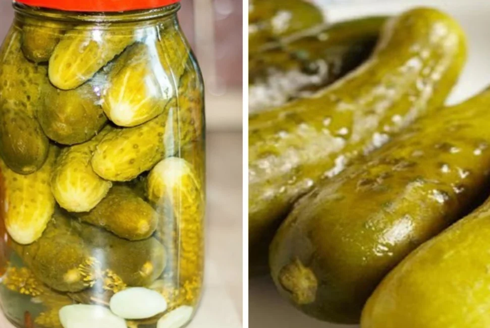 Cucumber Pickled Gherkin At A Special Price To Be Used As A Favorite