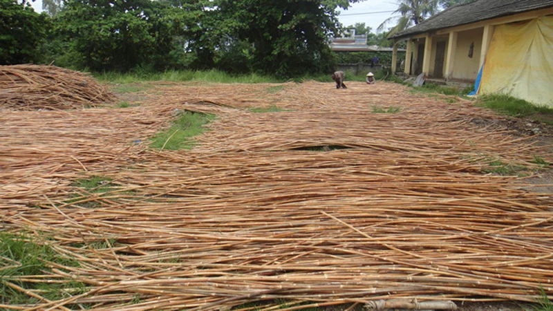 Shop Our Rattan Cane, Core, and Webbing - Perfect for Outdoor Furniture