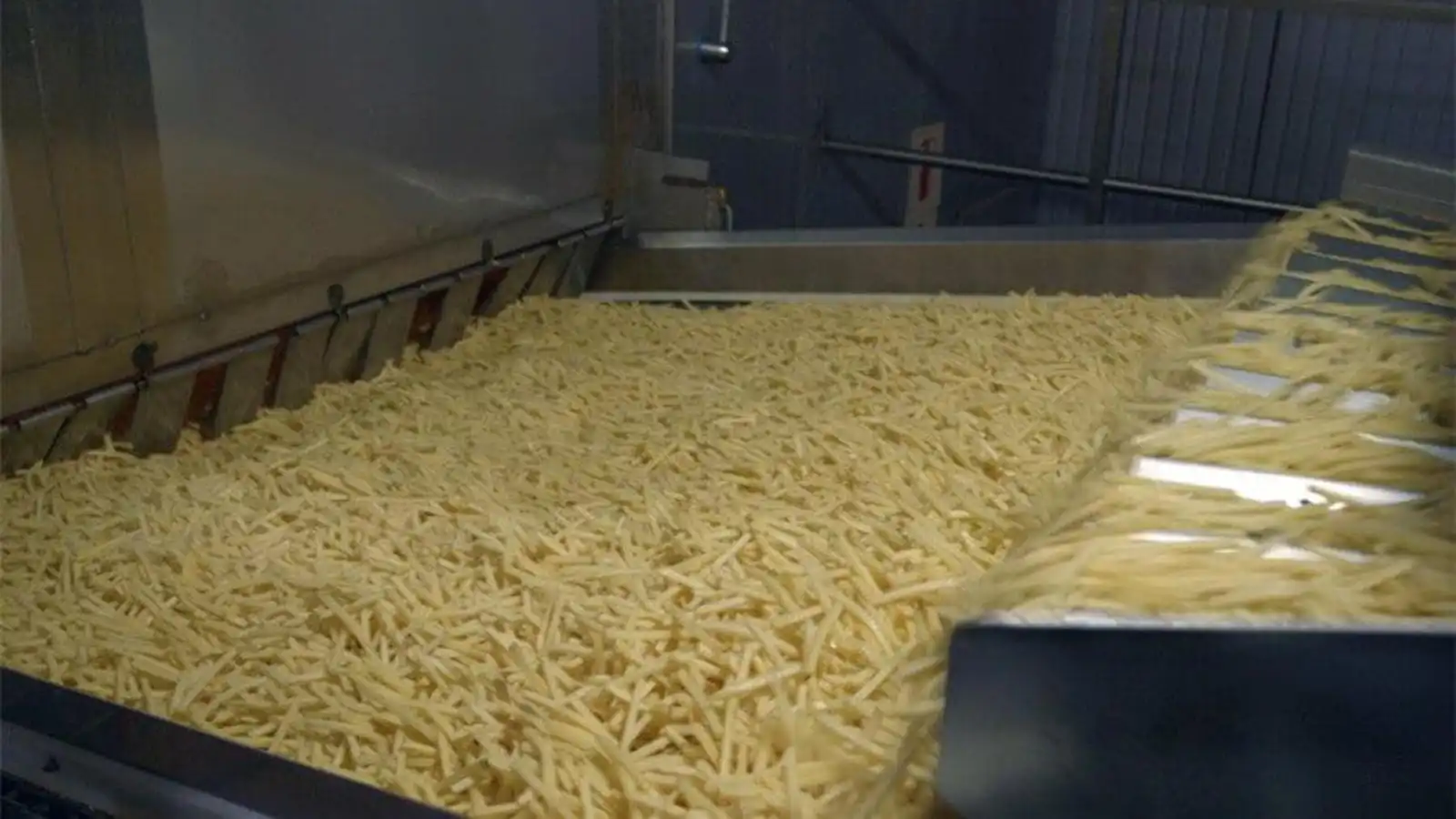 frozen-french-fries (1).jpg