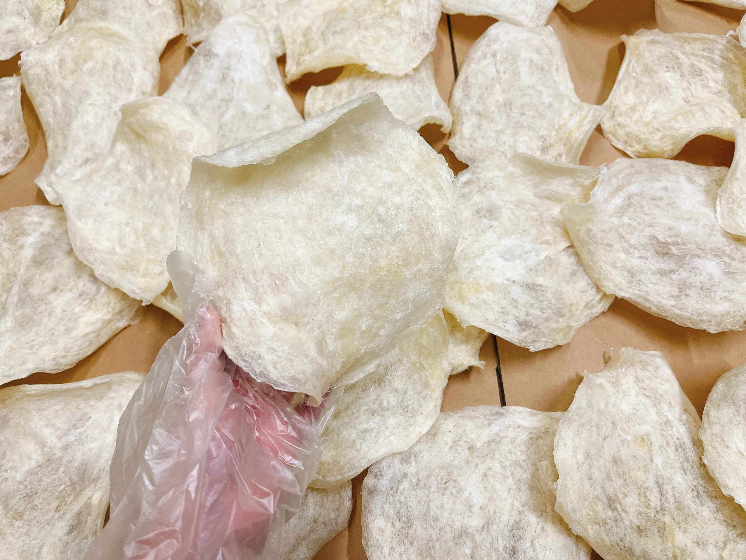 High Quality Dried Pangasius Fish Maw From Vietnam // Ms. Esther