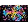 Multicolour