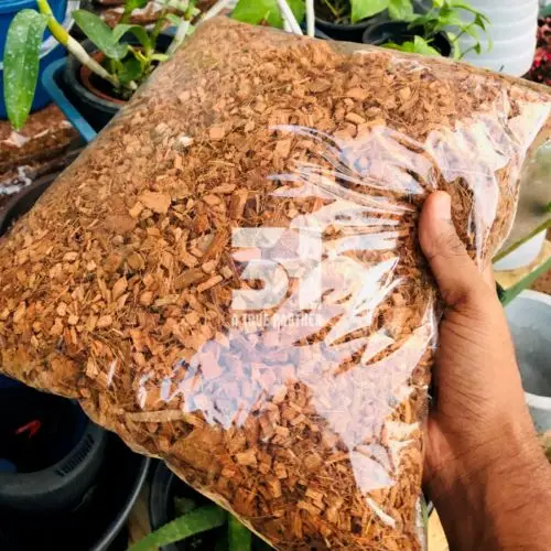 Wholesales Coco Chips Coco Husk Chips From Vietnam With Lowest Price