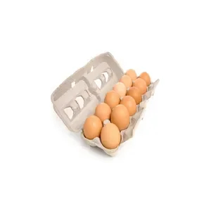 Buy Fresh Table Eggs Brown and White Wholesale Price
