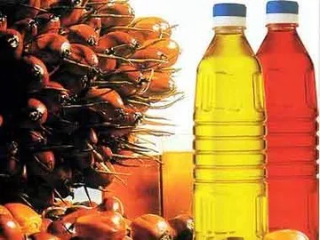 Manufacturer Supply Wholesale Bulk Price RBD Palm Oil 100% Pure Natural Organic Red Palm Oil