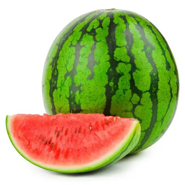 High Quality Fresh watermelon Best Price