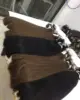 Marrón