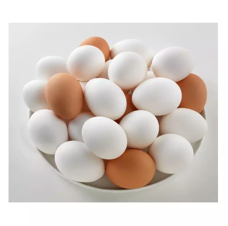 Freshly Stock Brown /white Shell Table Eggs For Sale At Wholesale Price