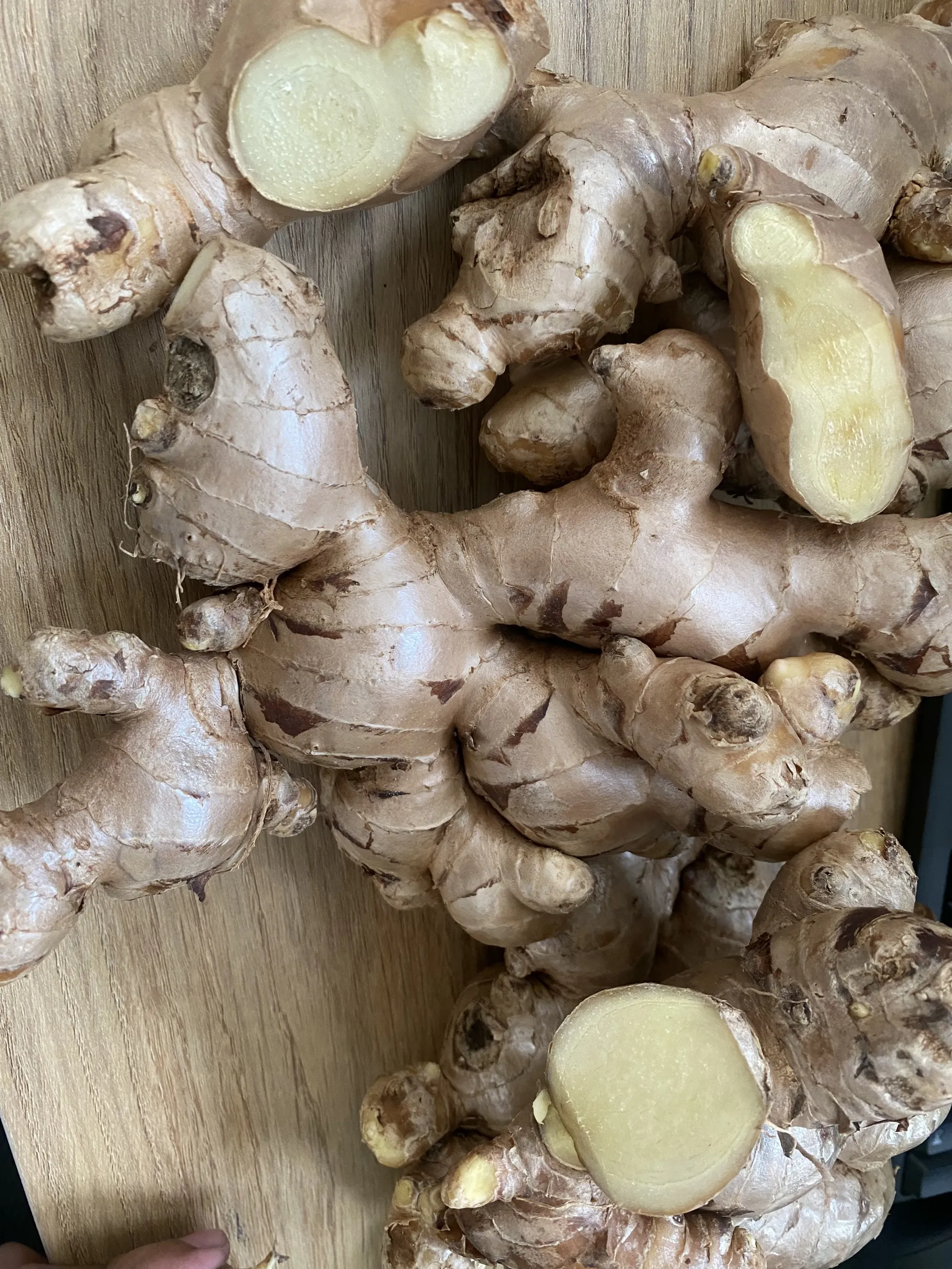 High Quality Fresh Elephant Ginger From Vietnam 2022 Fresh Ginger