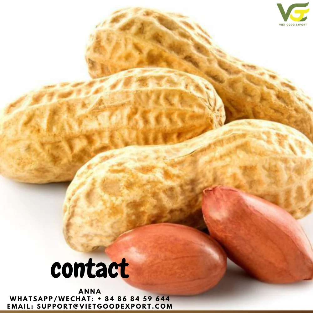 Wholesale Peanut Oil Processing By Mechanical Method As Customized Logo