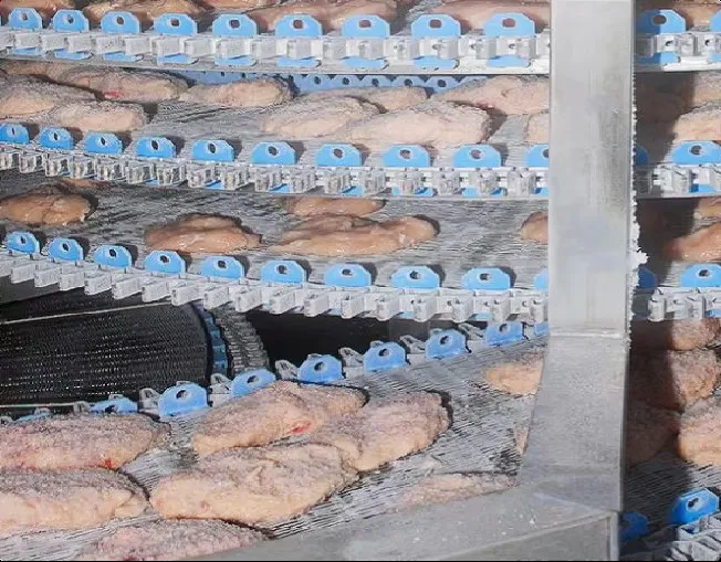Advanced walk-in quick freezers and individual quick freezers for the food industry