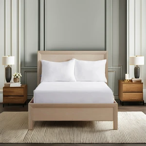 Professional Customized Queen Size Home Mattress Protector Waterproof Cover by Exporters Plain Style Bed Protector