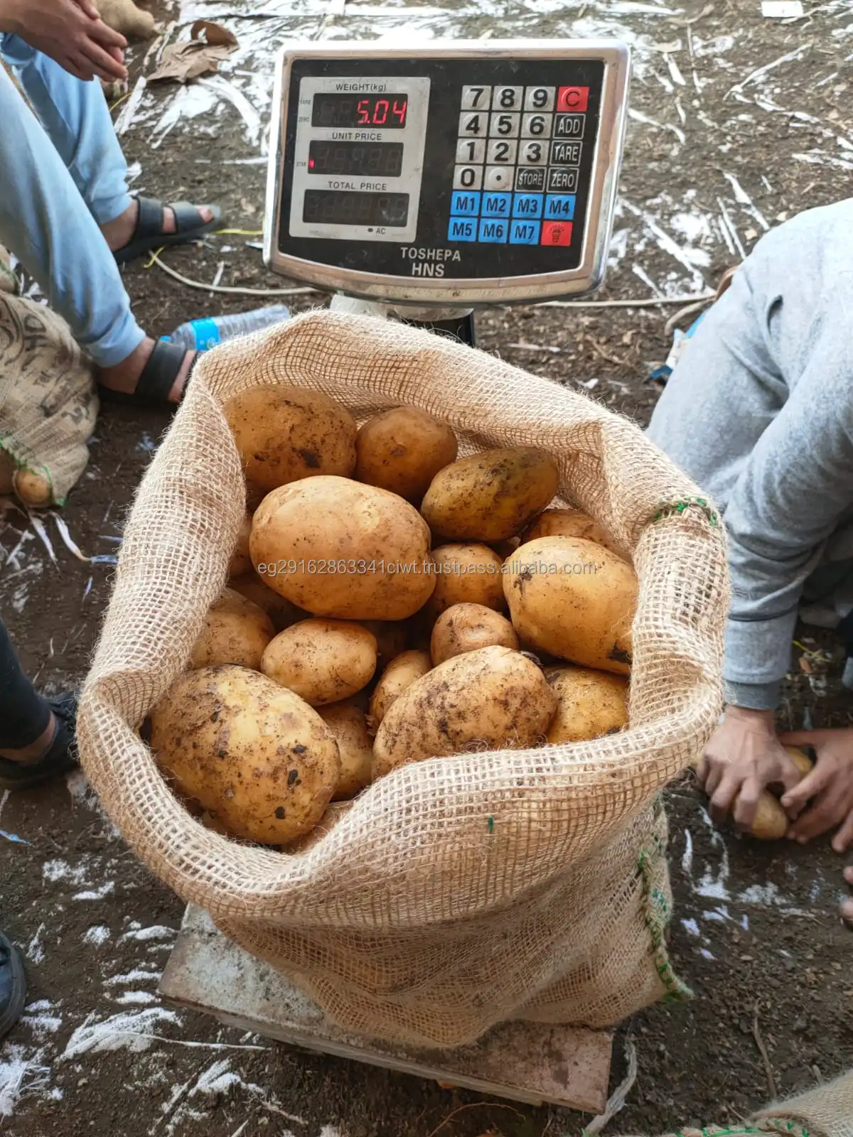 Bestselling Fresh Vegetables, Potatoes for Sale at Competitive Prices.