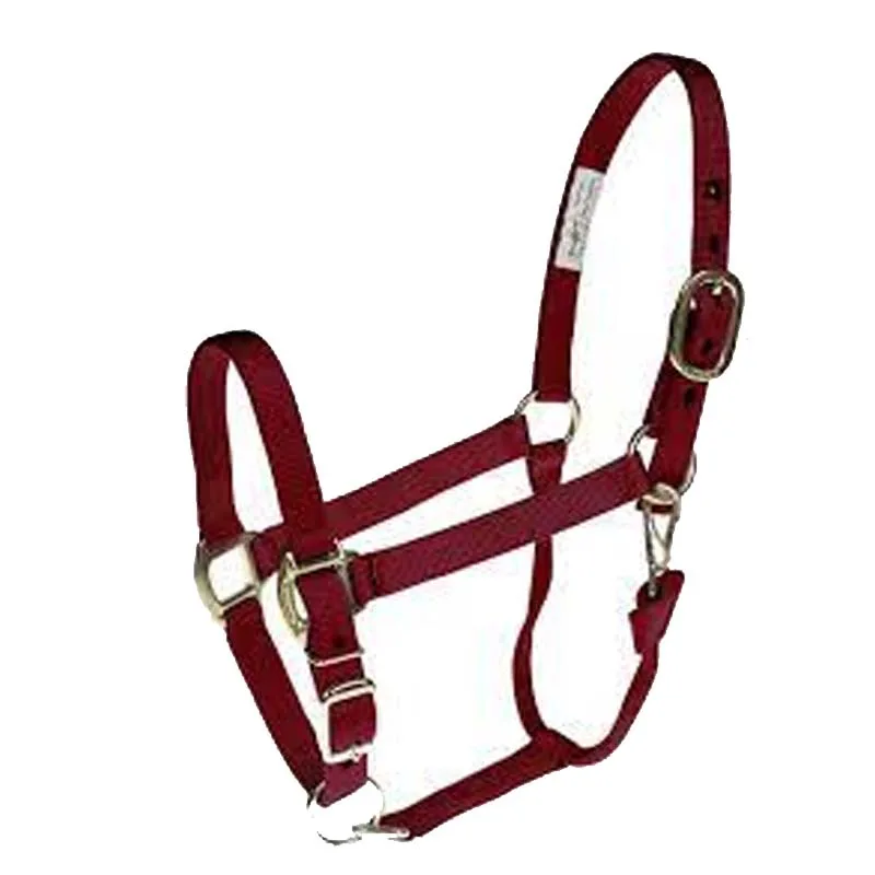 Latest Best 2023 Western Horse Halters Nylon Horse Halter Available In