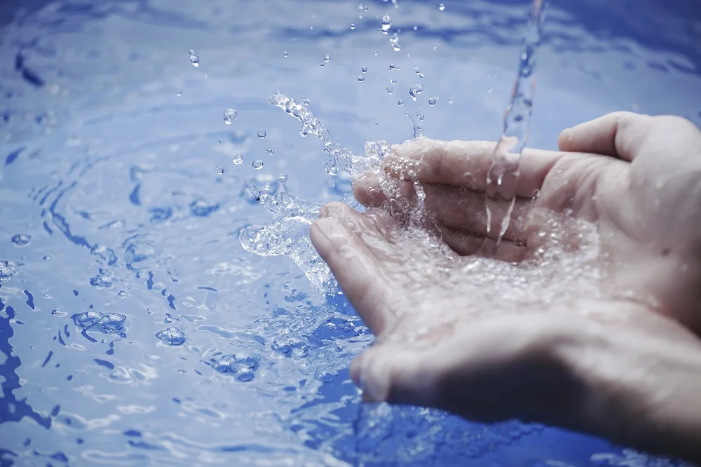 Microbiology Of Wastewater Treatment In Industrial Areas Rubber