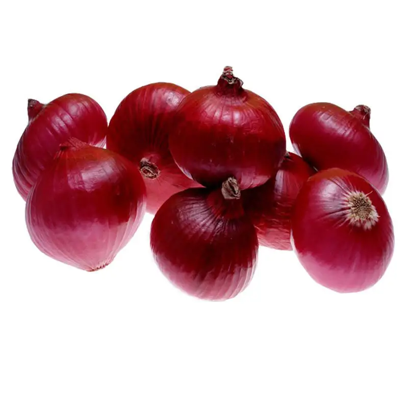 2024 ONION Red Onion for wholesale Manufacturers to Worldwide vast Selling at Low price