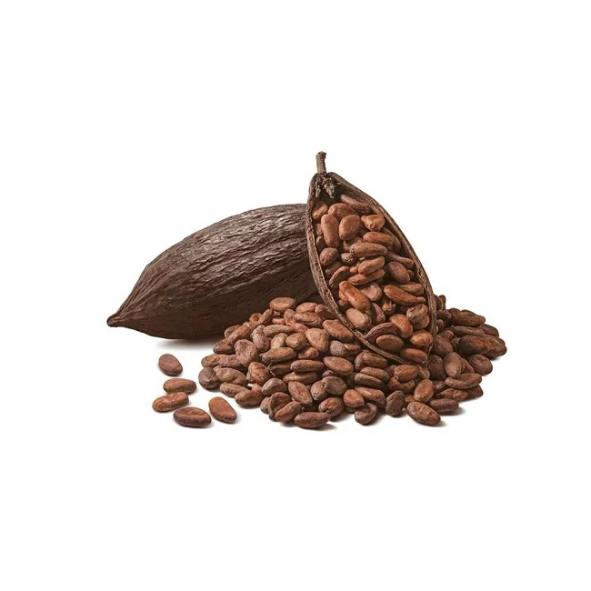High Quality Austrian Cocoa Beans - Cacao Beans - Chocolate