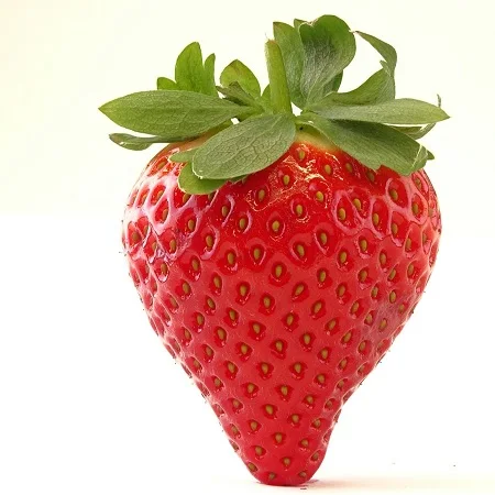 strawberries-calinda.jpg