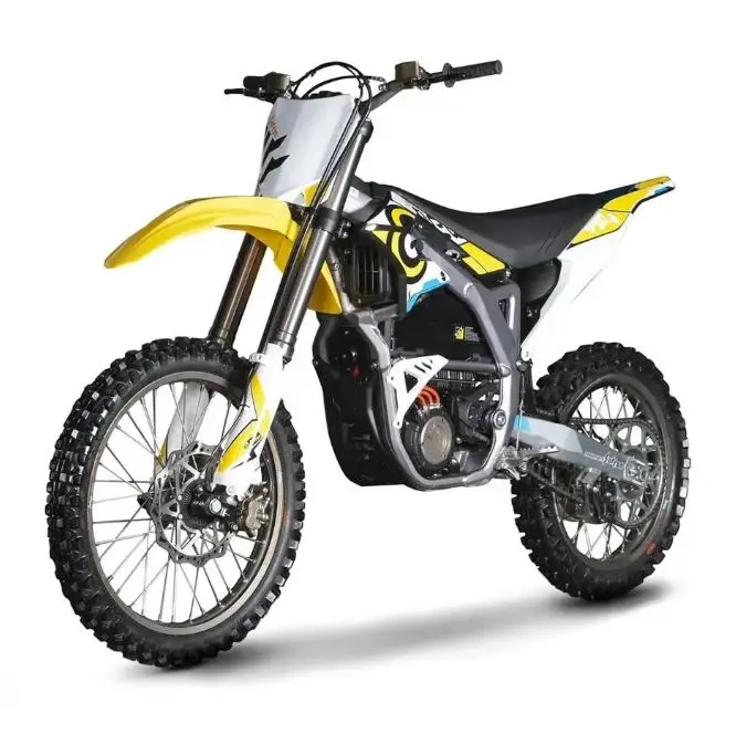 Popular Original Adult High-range Version Dirt Bike Electric Storm Bee ...