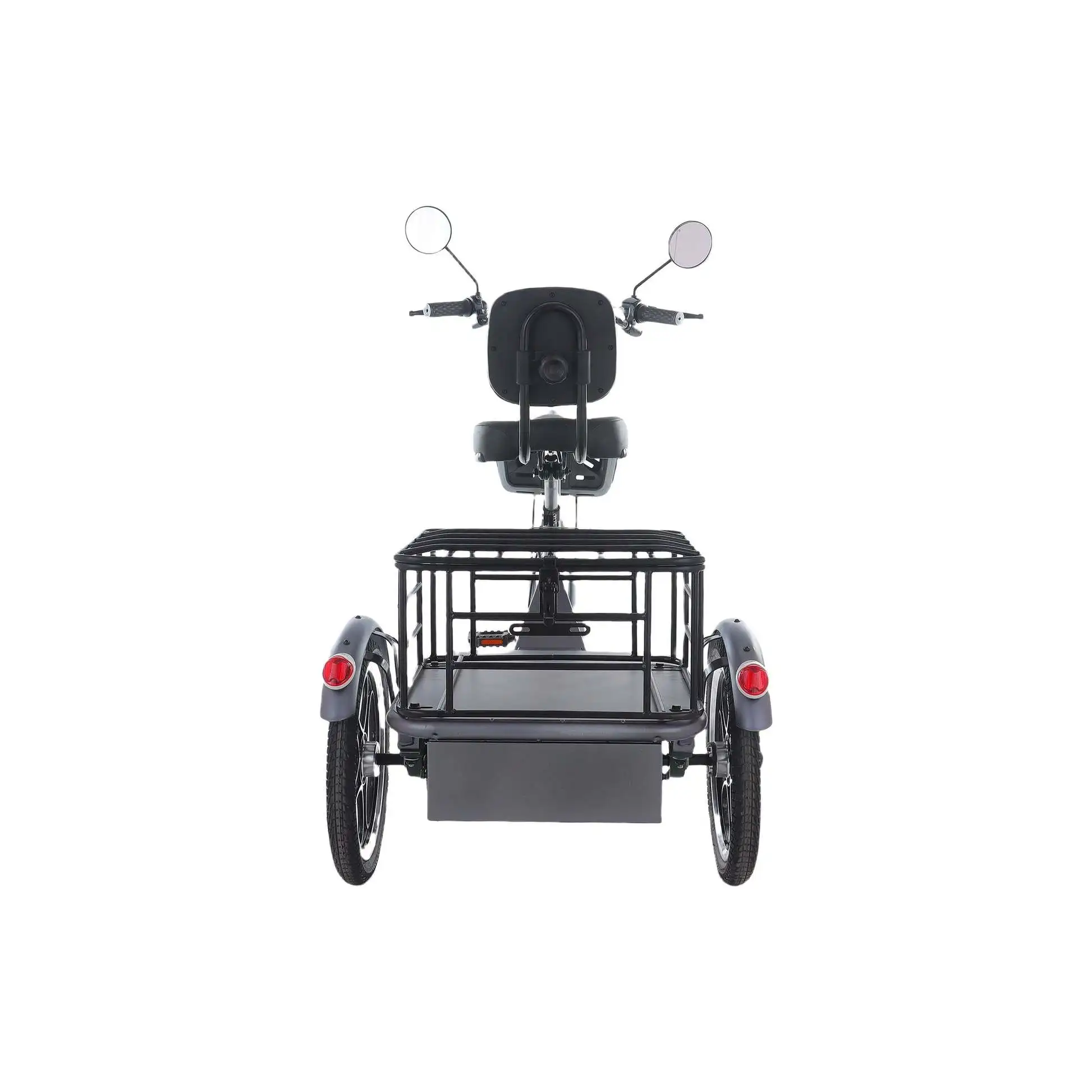48v 350w Rear-Drive Foldable Cargo E-Trike Top Speed 25km/h 16 Inch Tire Electric Trike with Steel Body Open and Closed Type