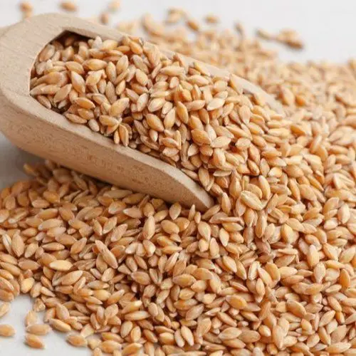 Wheat-Grains.jpg