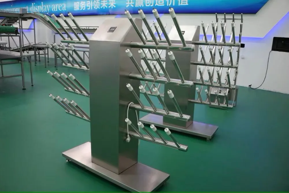 Professional boot drying system suitable for hygiene management in slaughterhouses and drying of workers' footwear