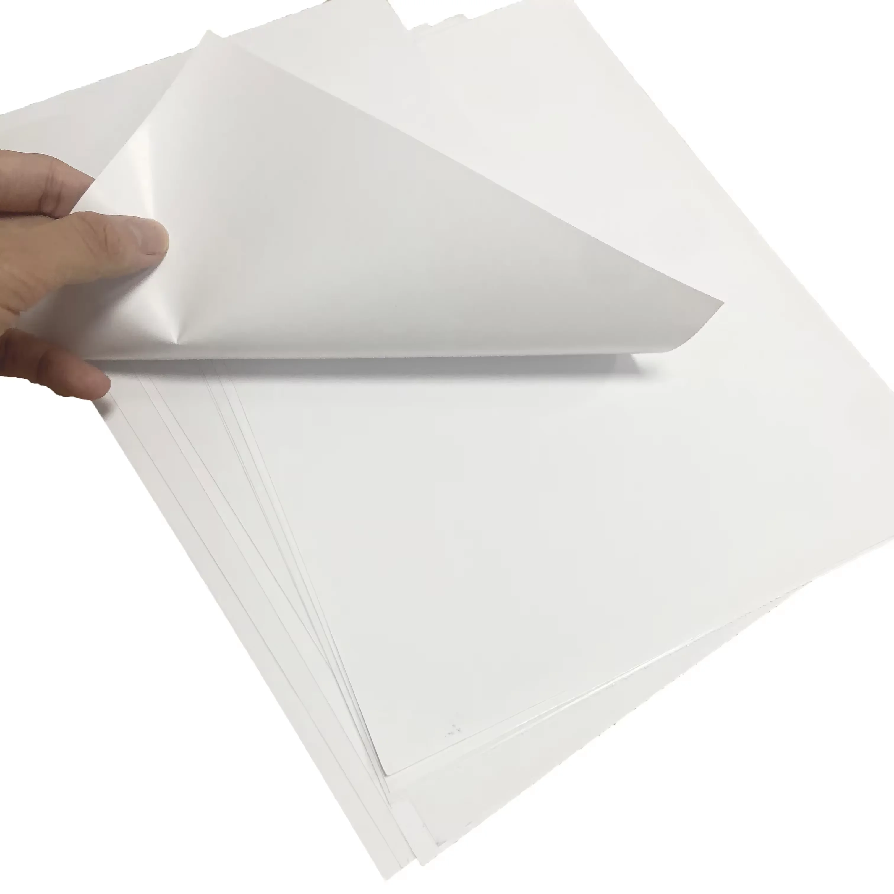 Coated Single Side Gloss Duplex Board 115-200gsm C2S in Roll Anti-Curl AA Grade 100% Wood Pulp for Gift & Craft