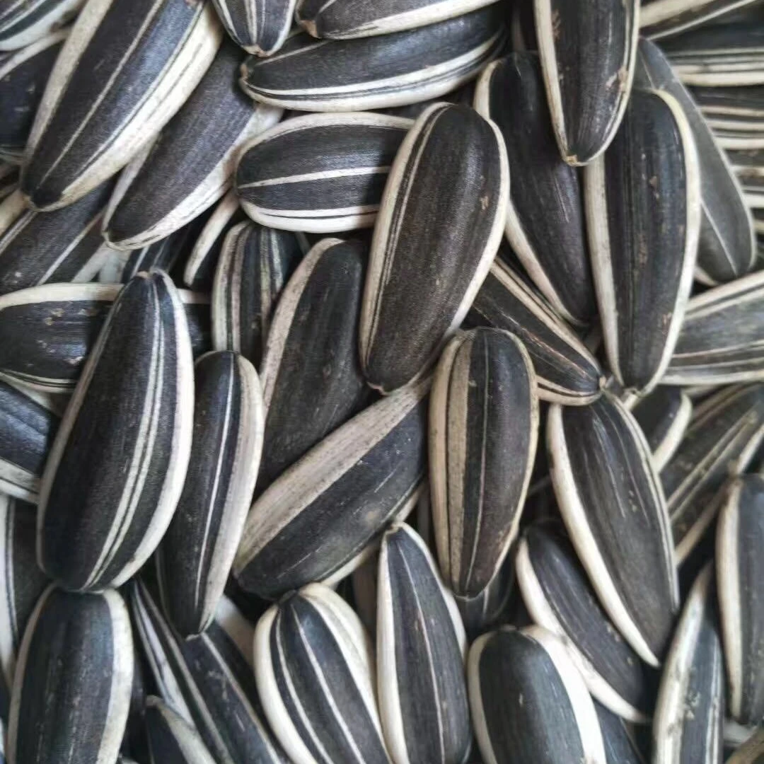 Market Price With Export Sunflower Seeds For Sale Buy Sunflower Seeds