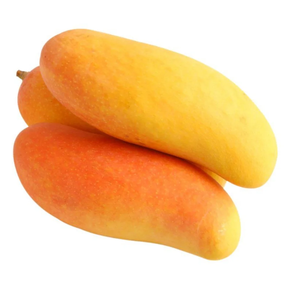 155 (1).png
