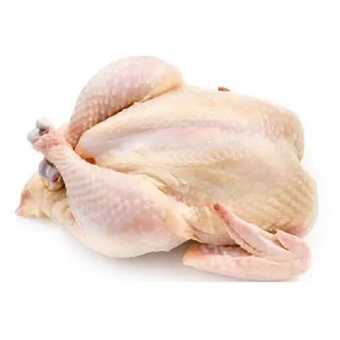 frozen-chicken-chicken.jpg