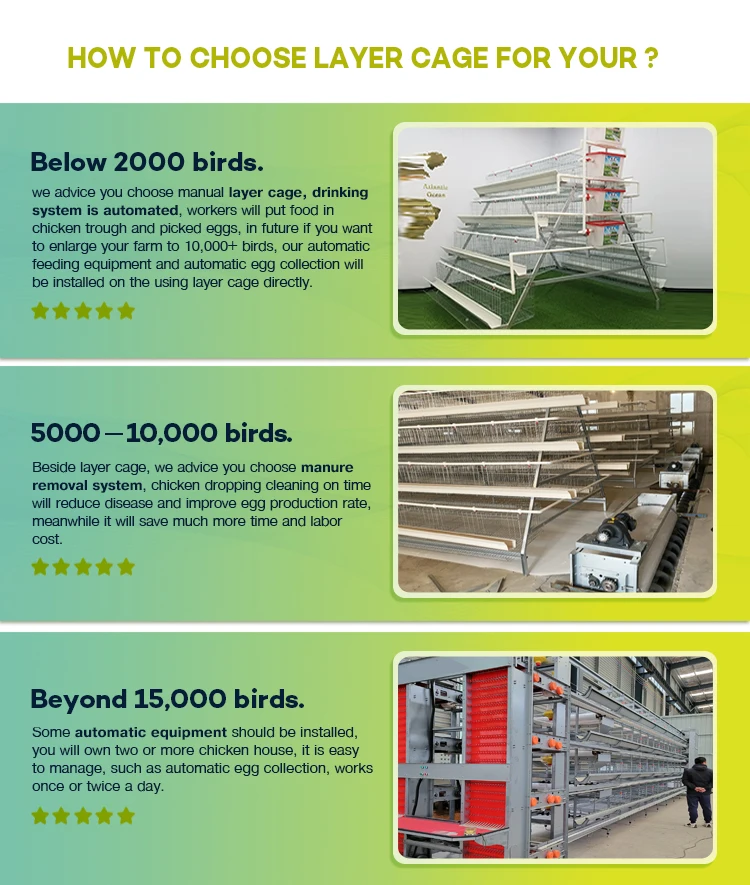 Poultry Farm 2000 Birds Galvanized Metal Animal Eggs Battery Cages Layer Laying Hens Chicken Breeding Cage