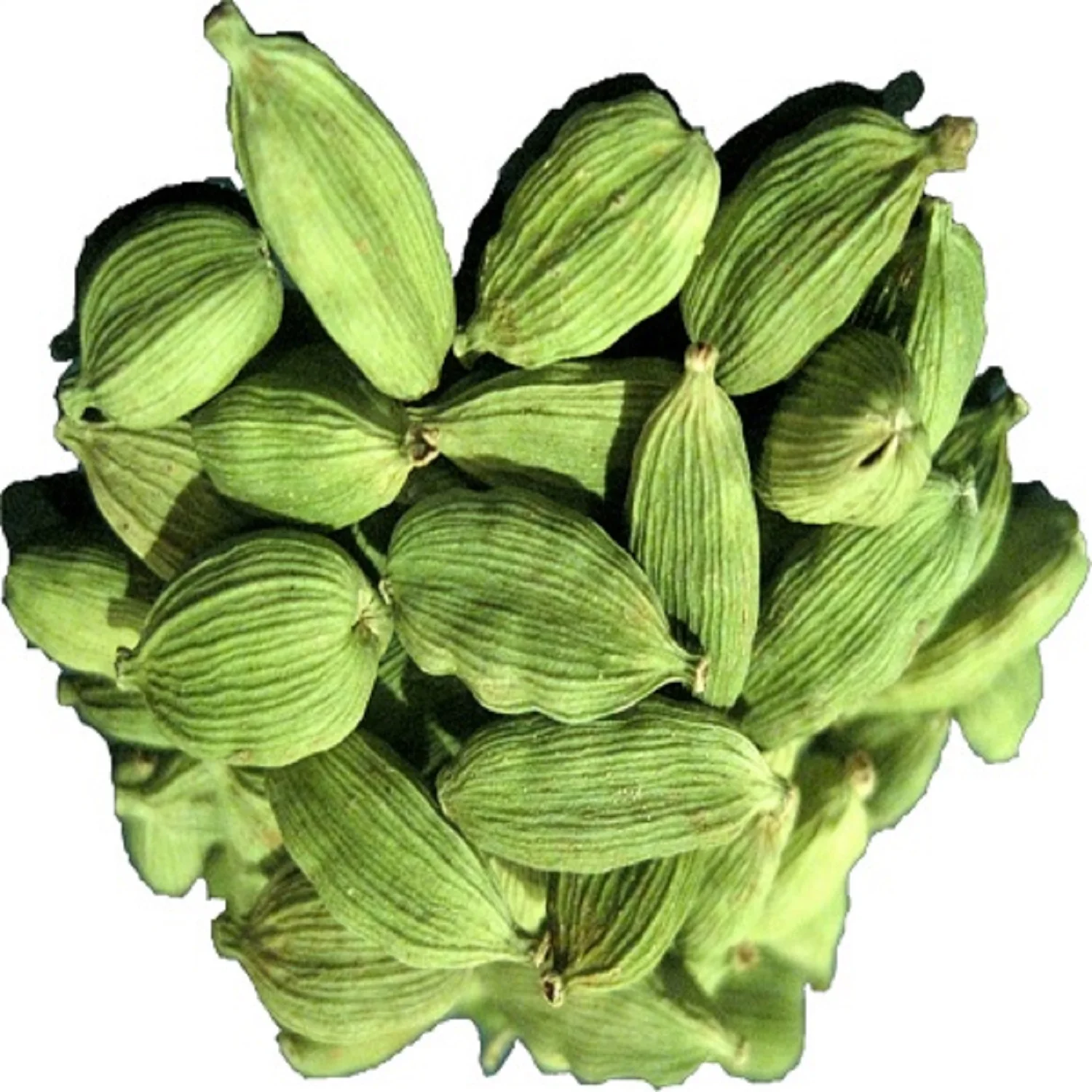 Top Quality Large Cardamom Seeds Bulk Spices Dried Green Cardamom 100