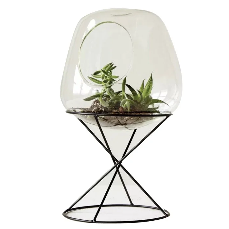 zuurgraad long nemen Plants Storage Terrarium For Living Room Table Top Decor New Traditional  Style Glass Dome Terrarium Top Quality Glass Terrarium - Buy Plants Storage  Terrarium For Living Room Table Top Decor New Traditional