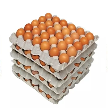 Farm Fresh Chicken Table Eggs & Fertilized Hatching Eggs,Brown Eggs Low