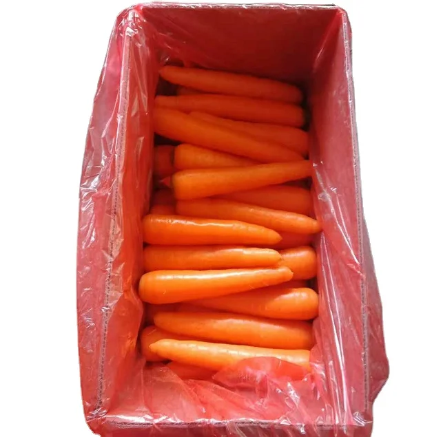 Fresh Carrot Fruit & Vegetable Products Good Price Organic Follow the Customer's Request Made in Vietnam Manufacturer