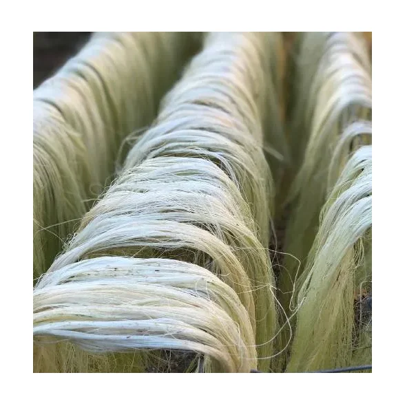 https://sisal.biz/
