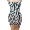 Zebra Mesh