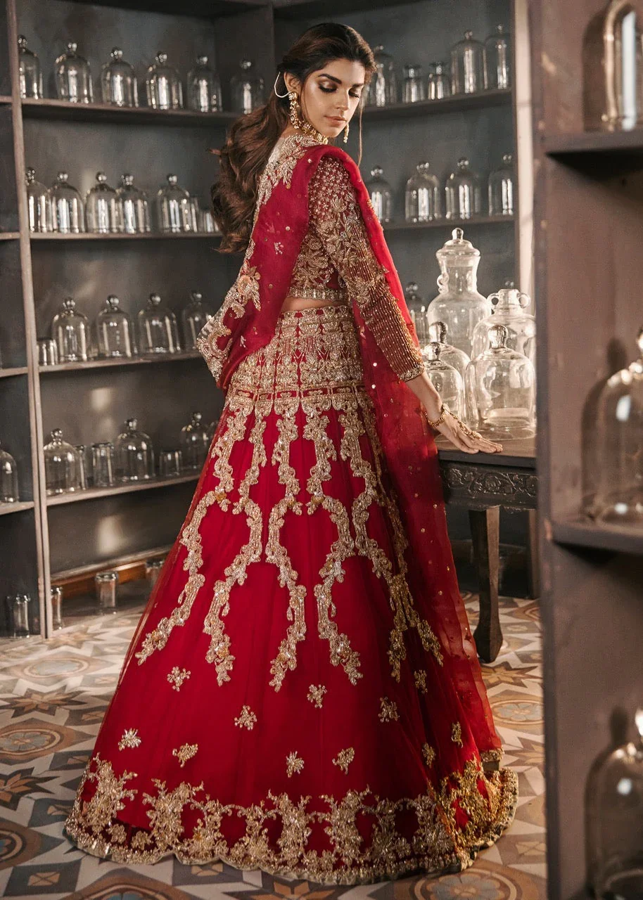 French-Inspired Red Bridal Set Fine Crafted Pakistani Choli Lehnga & Dupatta with Indian Motifs