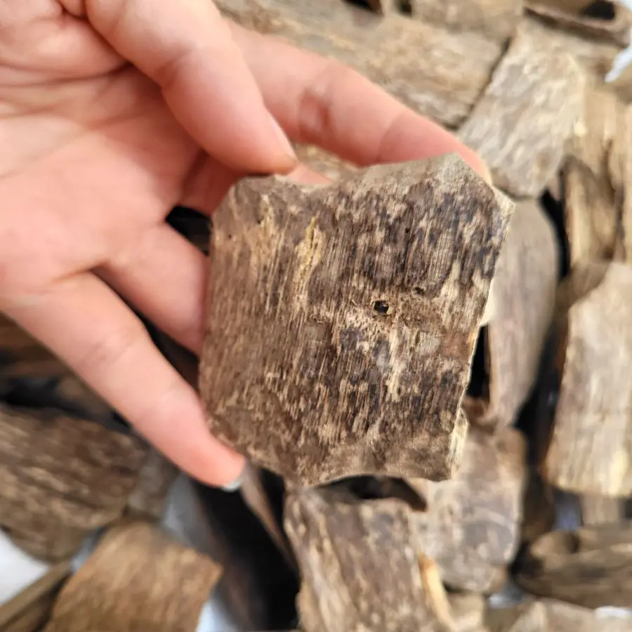 Premium Agarwood Oud Chips Viet Nam Natural Color Using For Tea And