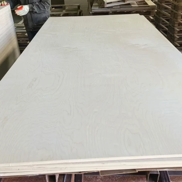 12mm HPL Plywood WBP  Marine Plywood 12mm with Birch Surface for High-Grade RV Furniture Cabinet Decoration