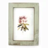 White Antique