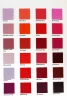 Pinks Colors