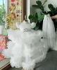 White Satin Bodice