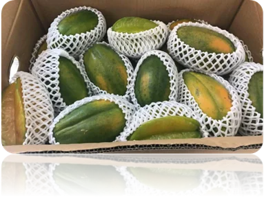 Import with Confidence and Exclusive Import Offer Fresh Papaya Oval From Viet Nam for Importer and for Buyer