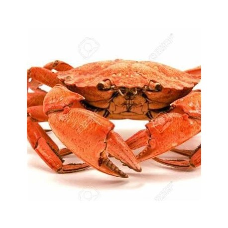 Fresh Red King Crab Fresh/frozen/live Red King Crabs,Soft Shell Crabs