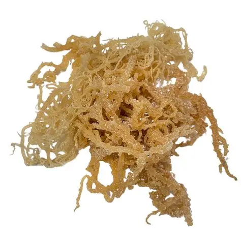 IRISH DRIED SEAMOSS CARTILAGE HIGH QUALITY FROM VIETNAM  TRACY